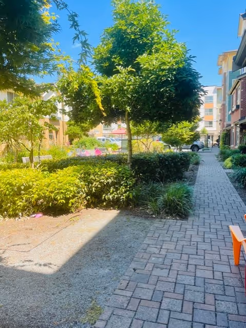 Outdoor garden area with green trees, bushes, and plants alongside a paved walkway. There are benches and colorful chairs in the background, with buildings visible on either side under a clear blue sky.