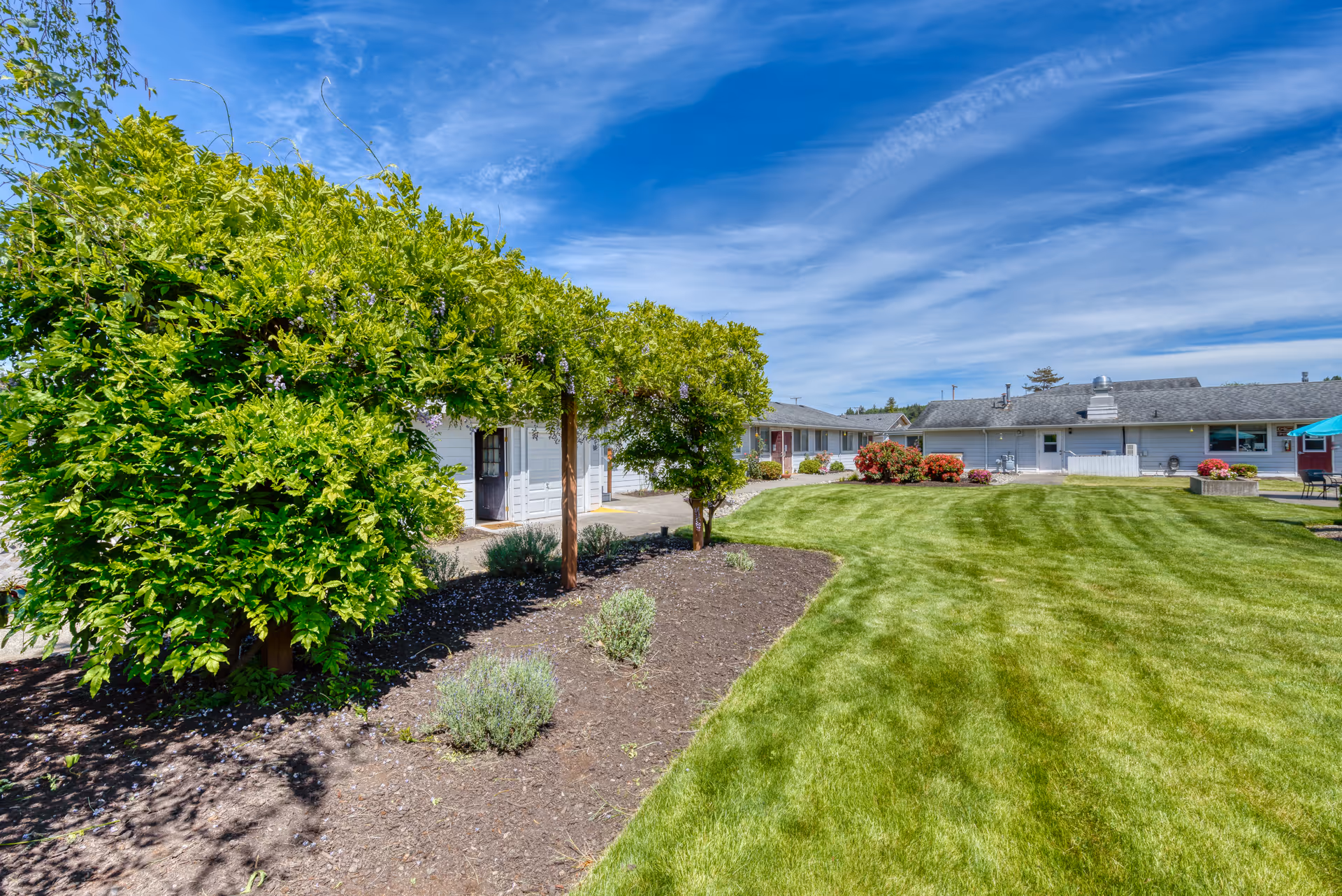 Sunlit courtyard with a green lawn, trimmed shrubs and a vine-covered trellis in front of single-story retirement community buildings under a blue sky.