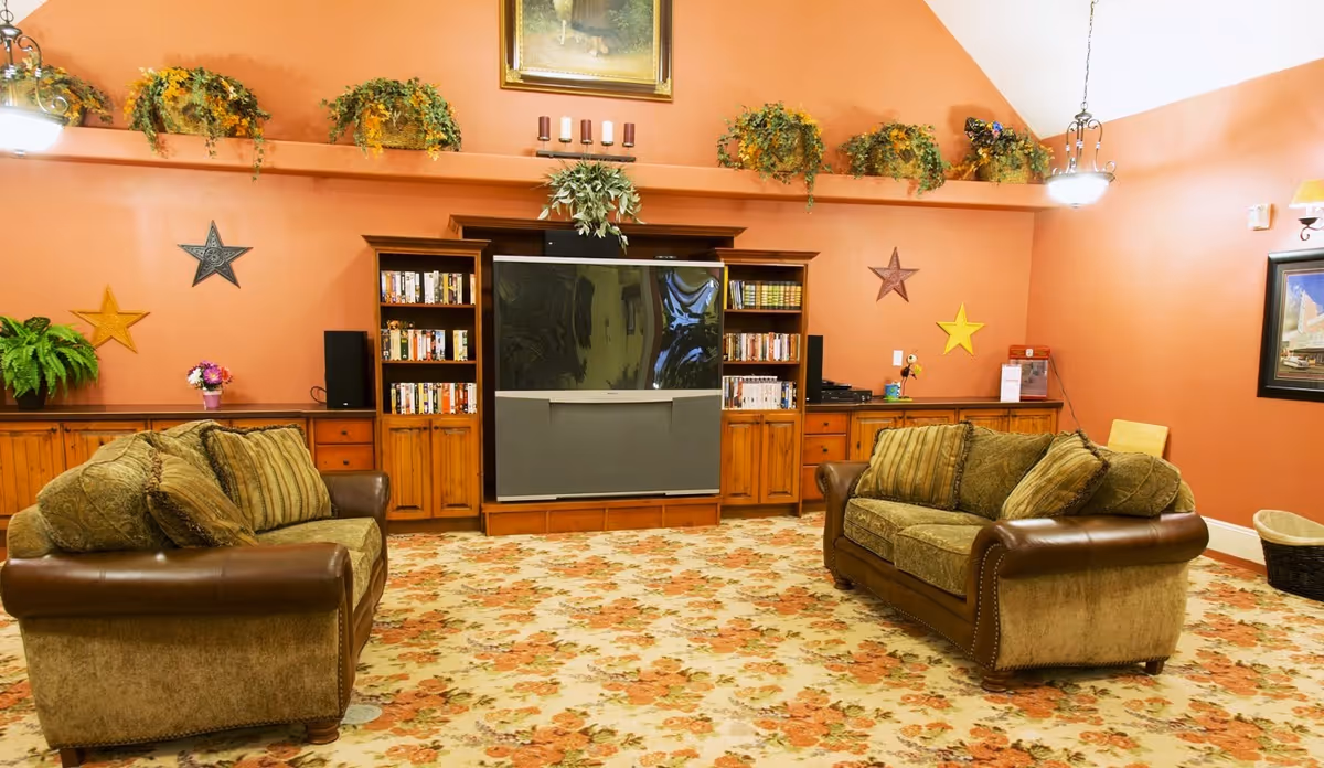 A cozy living room with two brown and green upholstered sofas facing a large flat-screen TV set in a wooden entertainment center. The walls are painted a warm orange color and decorated with star-shaped wall hangings and several potted plants on a high shelf. The floor is covered with a floral patterned carpet, and there are framed pictures and a basket visible in the room.