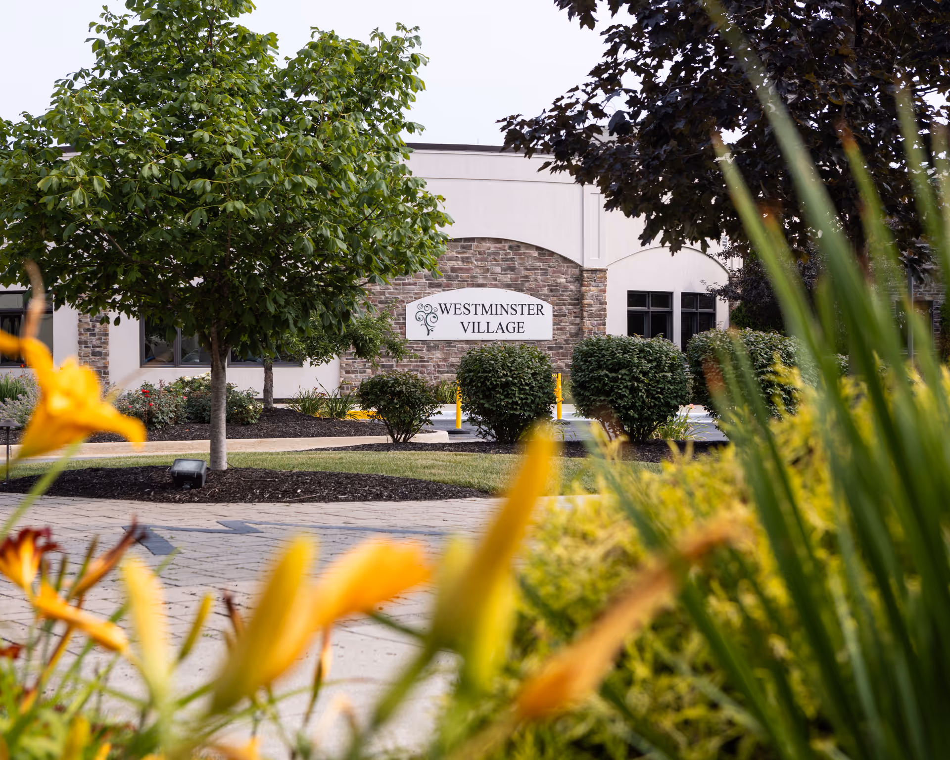 View of the exterior of Westminster Village building with a landscaped garden in the foreground featuring yellow flowers, green bushes, and trees. The building has a stone and beige facade with a sign that reads 'Westminster Village'.