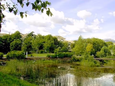 A peaceful pond and marsh surrounded by trees and shrubs with residential buildings visible in the background under a partly cloudy sky.