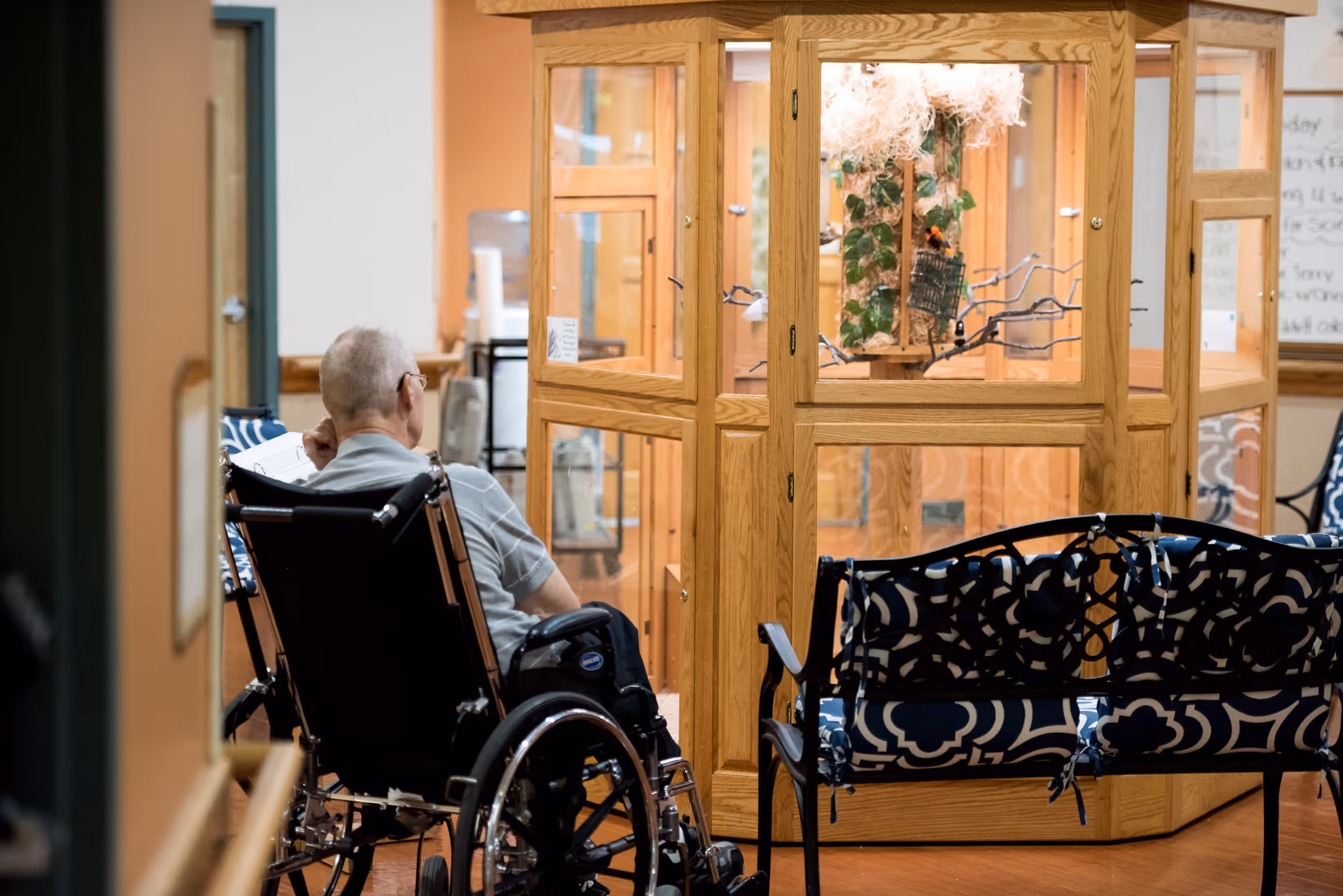 An elderly man in a wheelchair is seated in a hallway area of a care facility, facing a large wooden display case with glass panels containing a decorative birdhouse and plants. There are patterned cushioned benches nearby and a whiteboard with writing in the background.