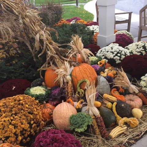 A fall harvest display of pumpkins, gourds, Indian corn, straw and colorful mums arranged by a porch column and chairs.