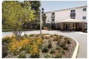 Exterior view of a multi-story senior living facility named Creekwood with a covered entrance and a circular driveway. The foreground features a landscaped area with yellow flowers and green shrubs.