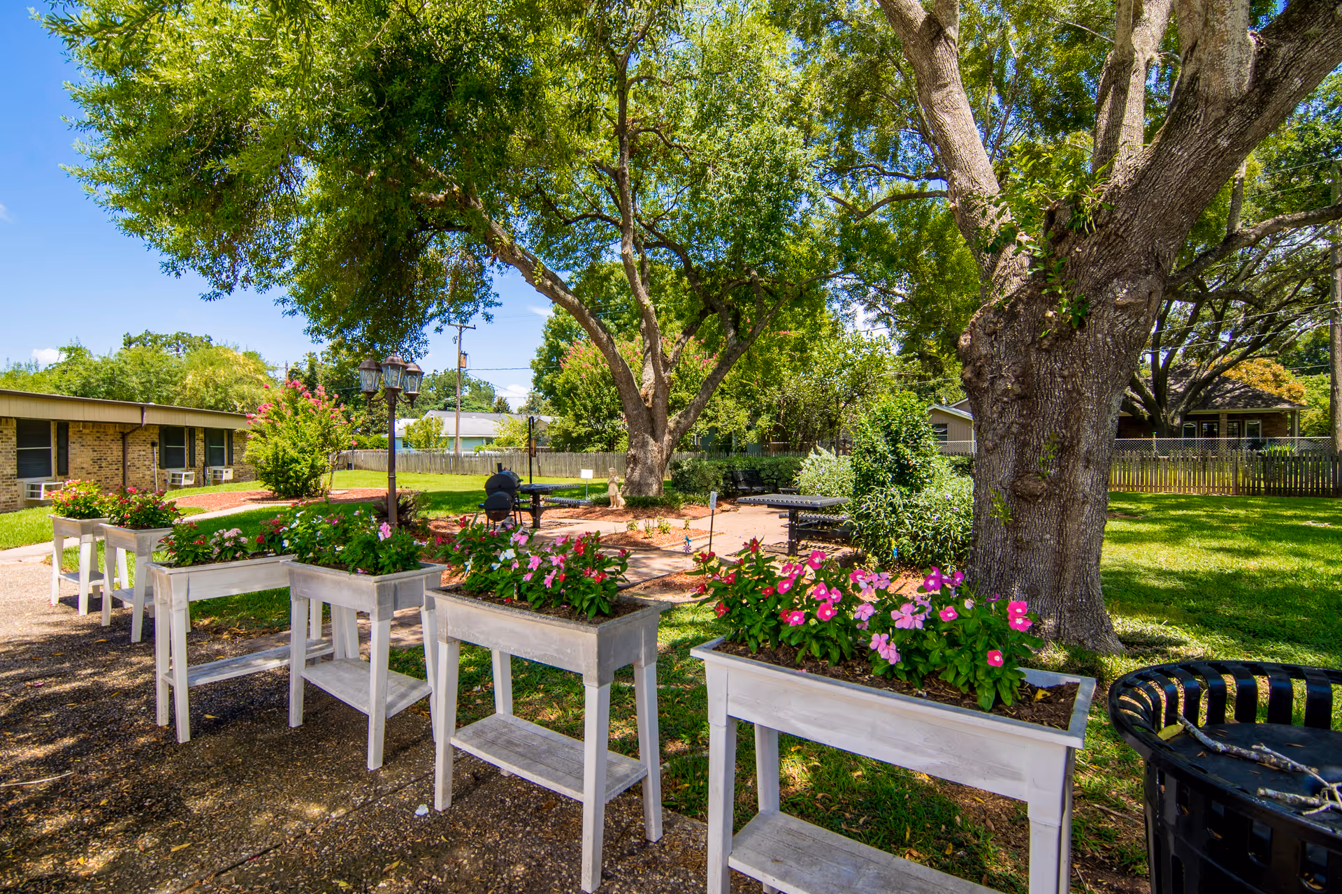 Outdoor courtyard with white flower planters, large shade trees, benches and a low brick building in the background.