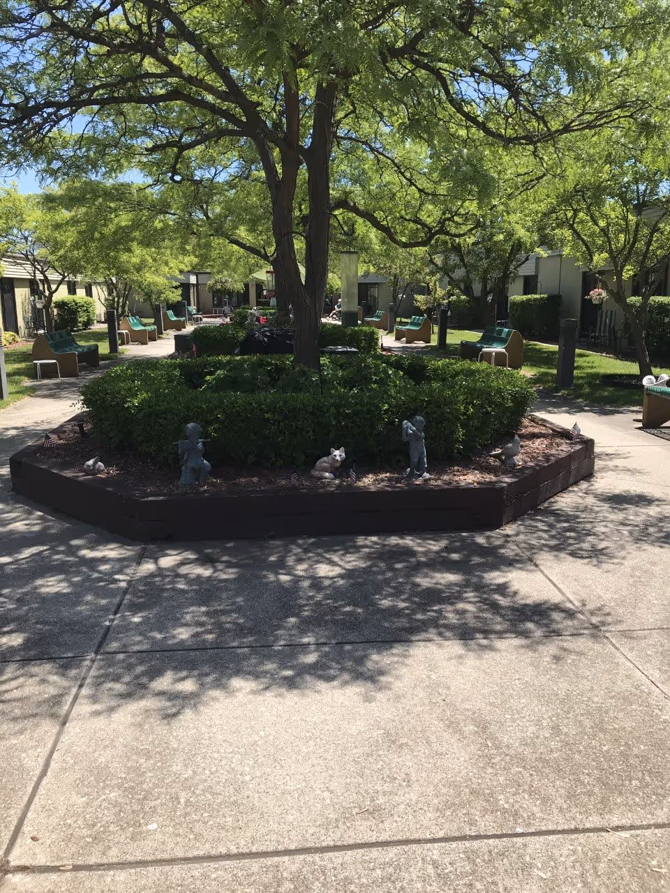 Outdoor courtyard area with a large tree surrounded by a raised garden bed with small statues. Green bushes and several benches with green cushions are arranged along the paved pathways. The area is shaded by the tree and other surrounding trees, with buildings visible in the background.