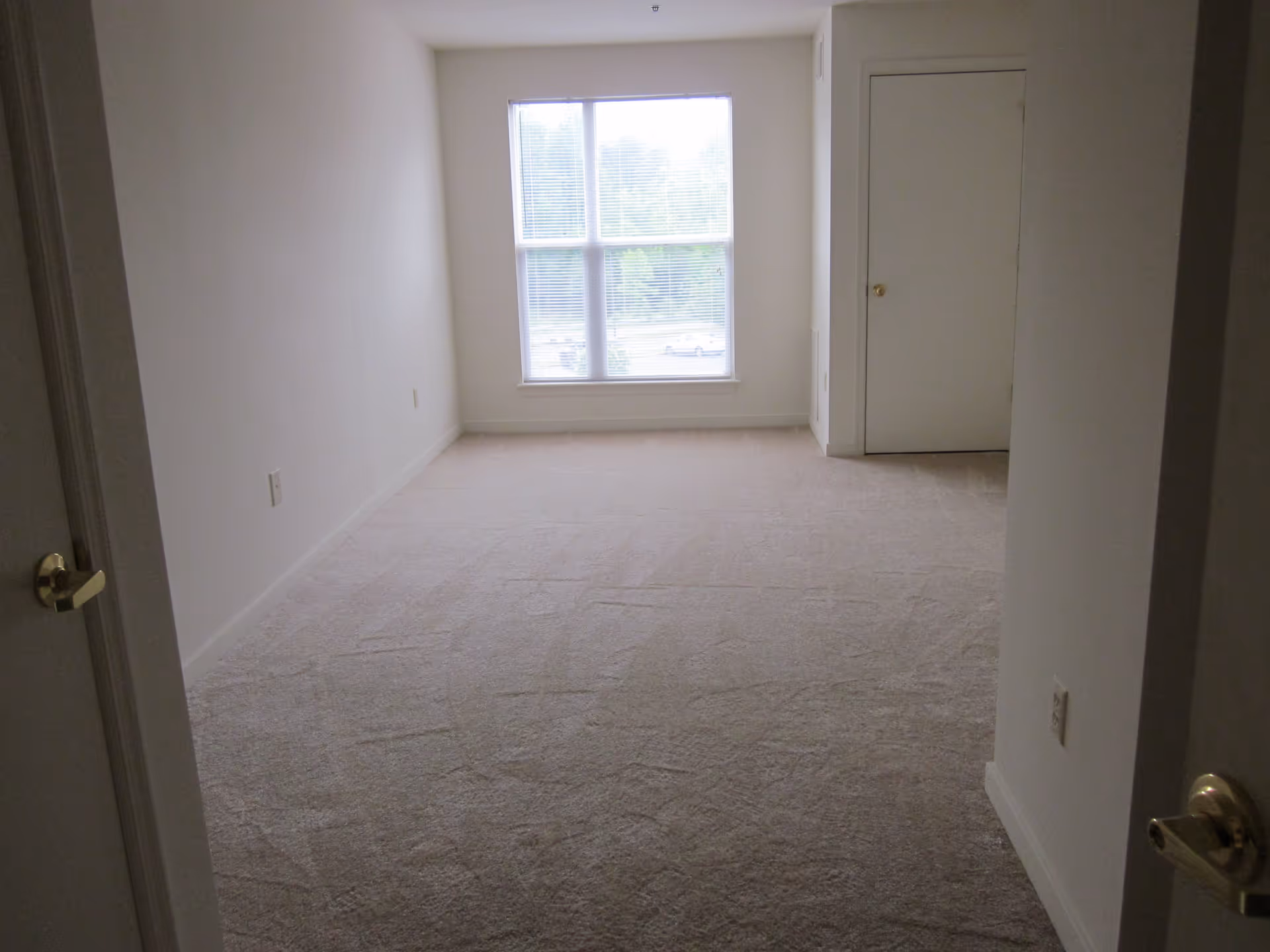 Empty room with beige carpet, white walls, a large window with blinds, and a closed white door on the right side.
