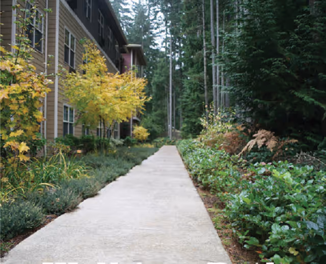 A concrete pathway lined with green shrubs and trees on both sides, with a multi-story building on the left and tall evergreen trees on the right, under an overcast sky.