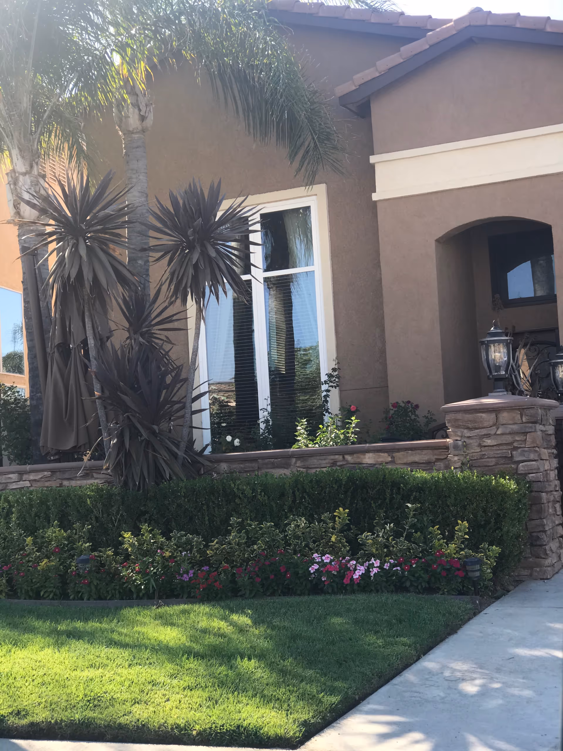 Exterior view of a senior care facility named Copper Canyon Senior Care showing a beige stucco building with a tiled roof, large windows, palm trees, manicured bushes, and colorful flowers in the garden bed along a concrete walkway.