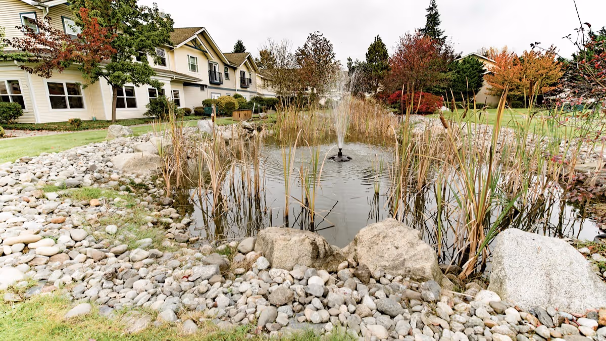 Outdoor pond with a small fountain surrounded by rocks and tall grasses, with a two-story residential building and trees in the background under an overcast sky.