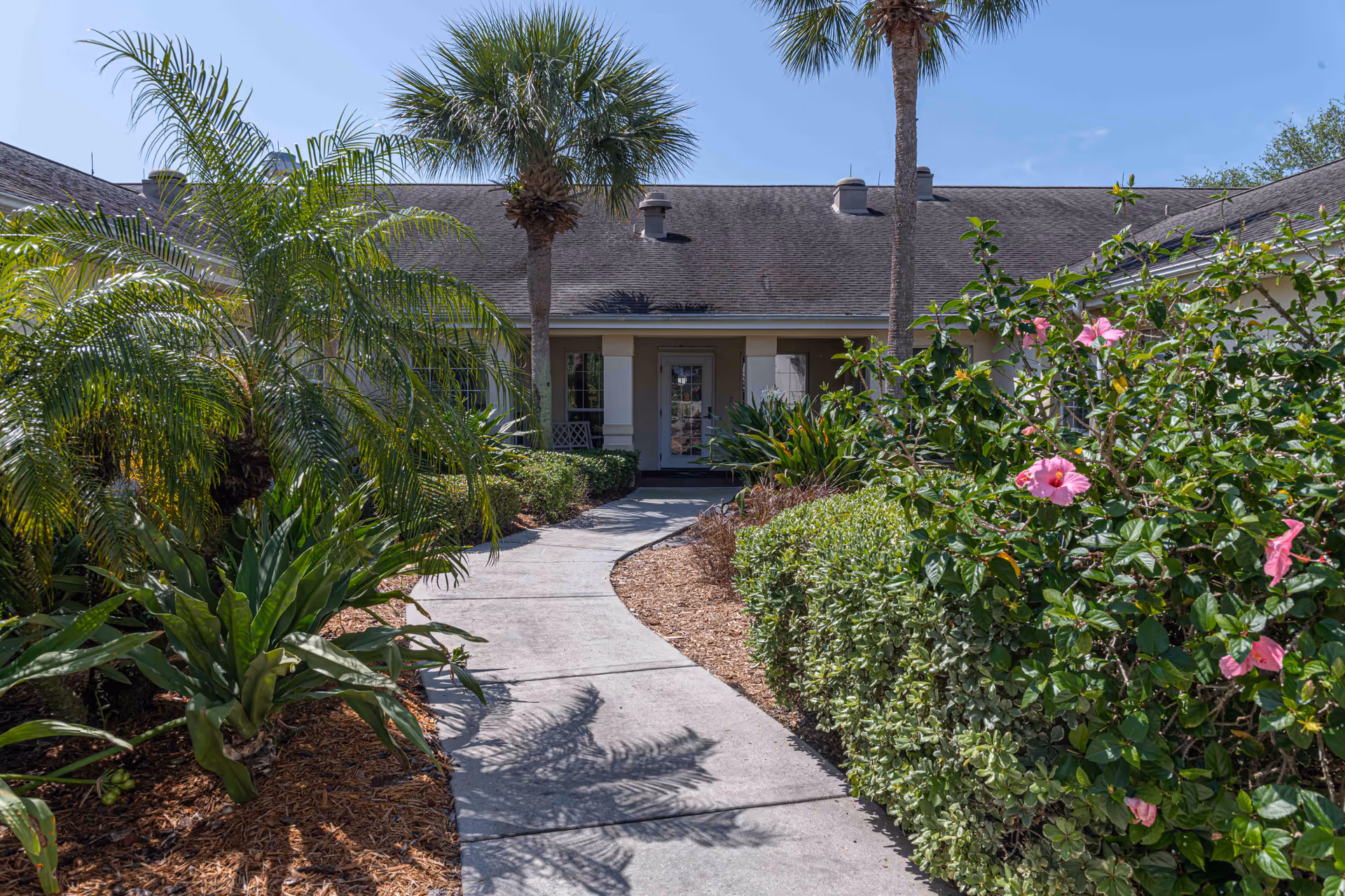 A curved concrete walkway leading to the entrance of a single-story building surrounded by lush greenery including palm trees, bushes, and flowering plants under a clear blue sky.