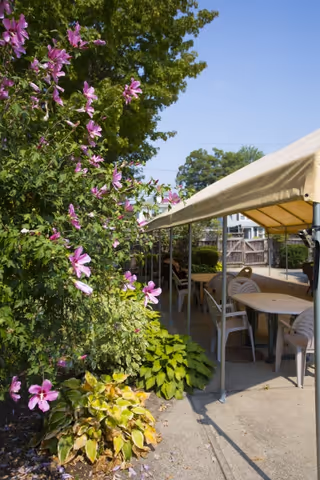 Outdoor patio area with a canopy covering several tables and plastic chairs. There are green plants and purple flowers on the left side, and a wooden fence in the background under a clear blue sky.