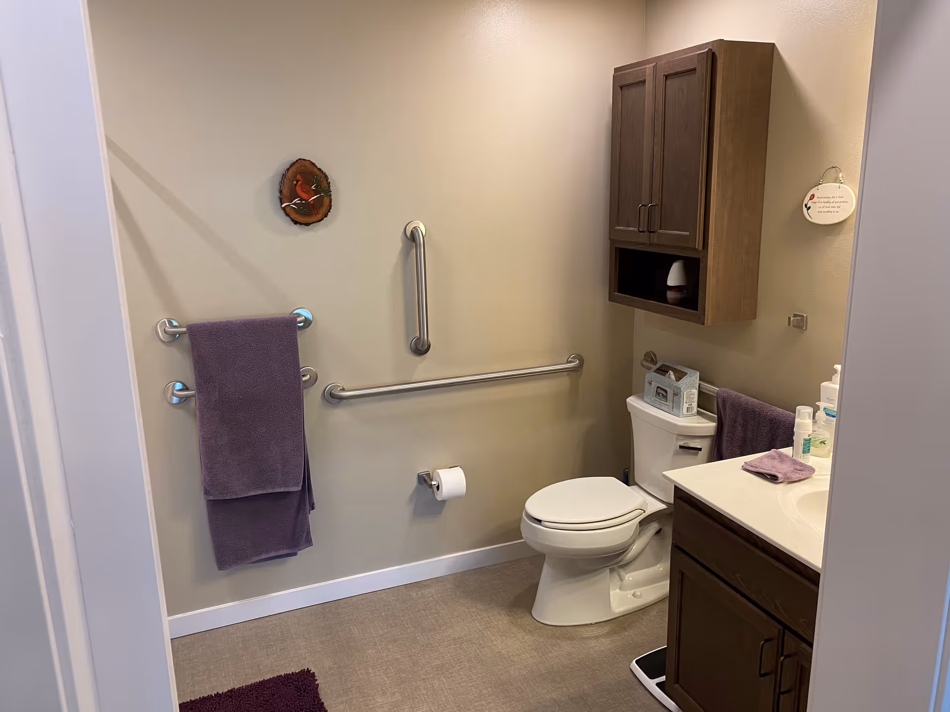 Accessible bathroom with a toilet, grab bars, sink and cabinet, and purple towels.
