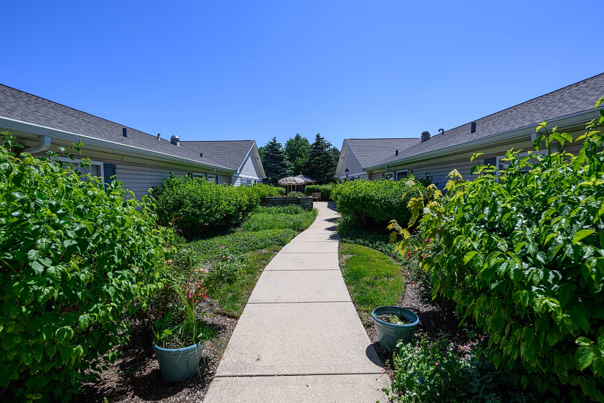 A paved walkway flanked by green bushes and plants leading between two single-story buildings under a clear blue sky. There are potted plants along the path and trees in the background.