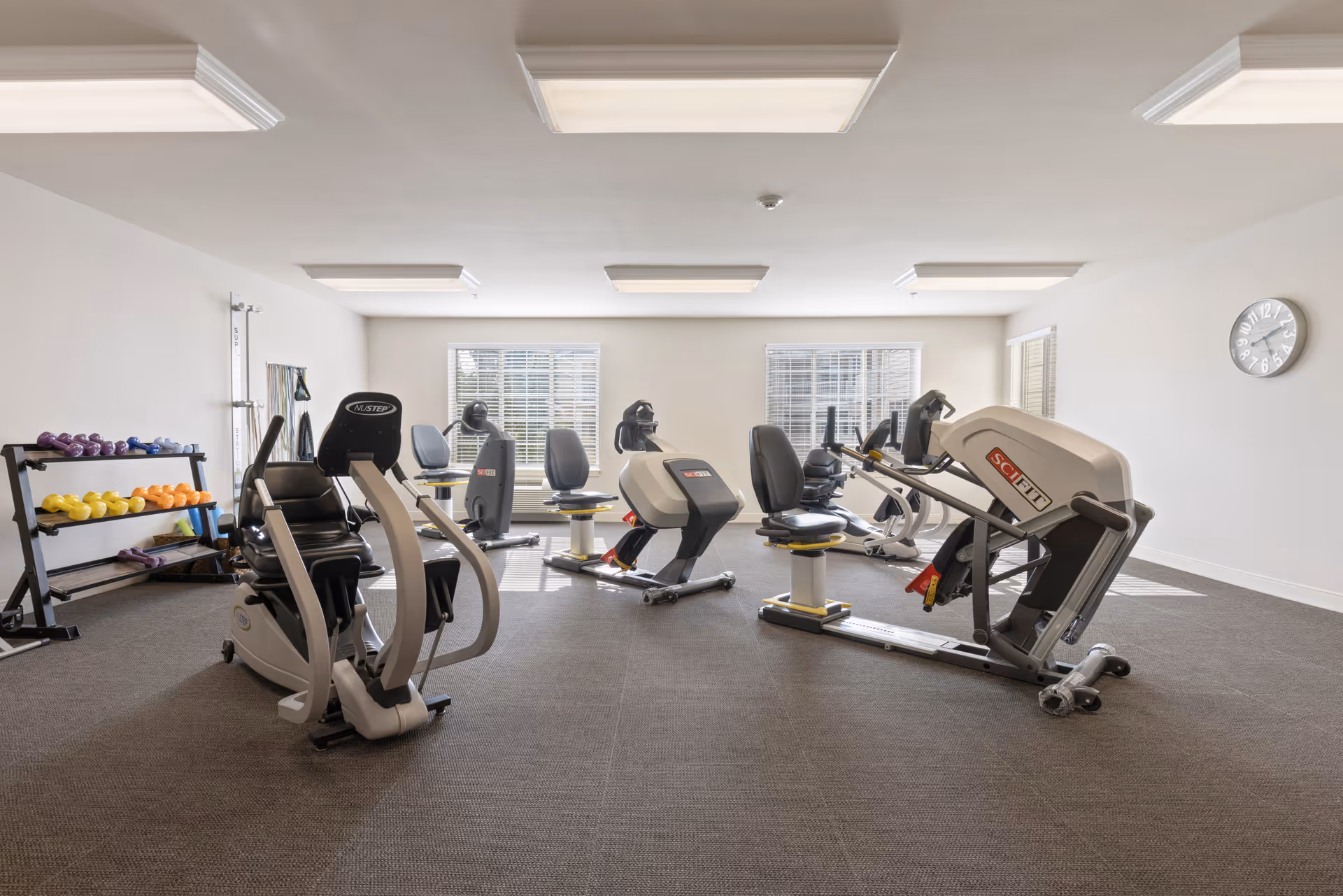 Bright fitness room with several recumbent exercise machines, a weight rack of colorful dumbbells, and large windows.