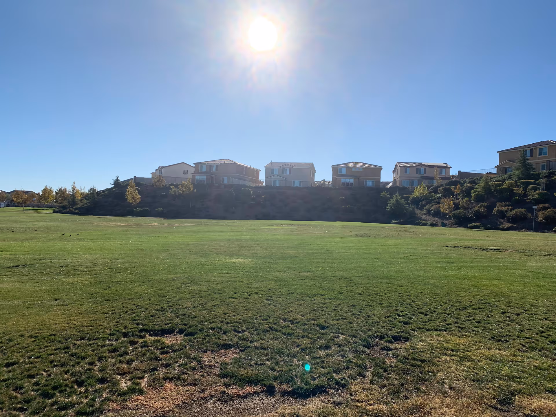 A wide open grassy field with a row of houses on a small hill in the background under a clear blue sky with the sun shining brightly.