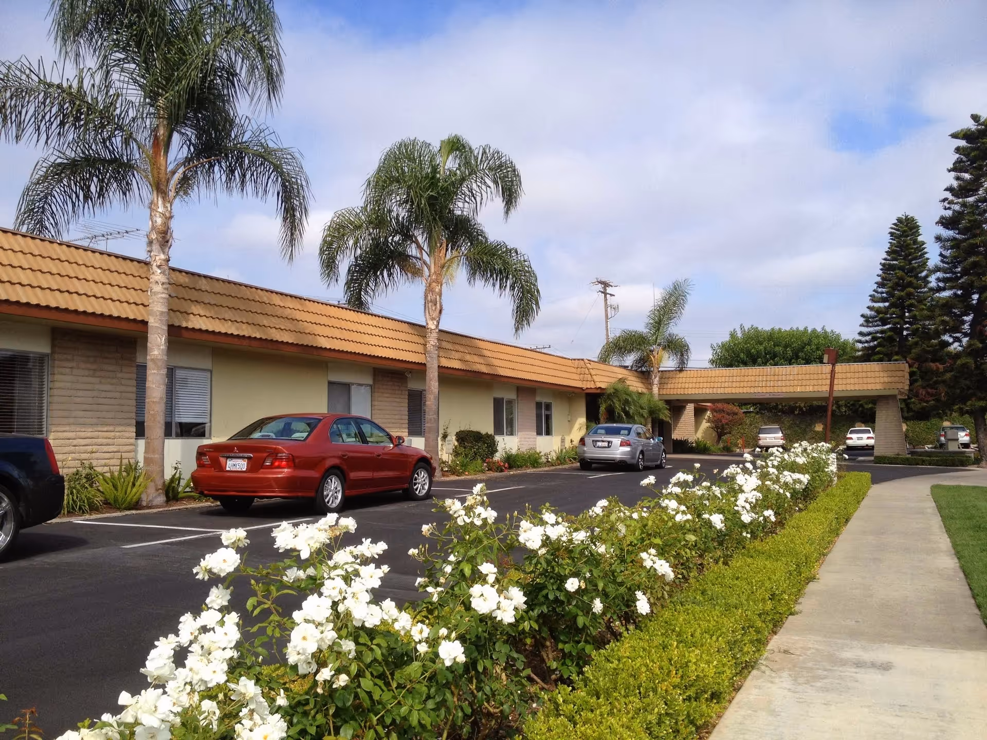 Exterior view of Mission Palms Healthcare Center showing a single-story building with a tiled roof, palm trees, parked cars, and a landscaped area with white flowers and green shrubs along a sidewalk.