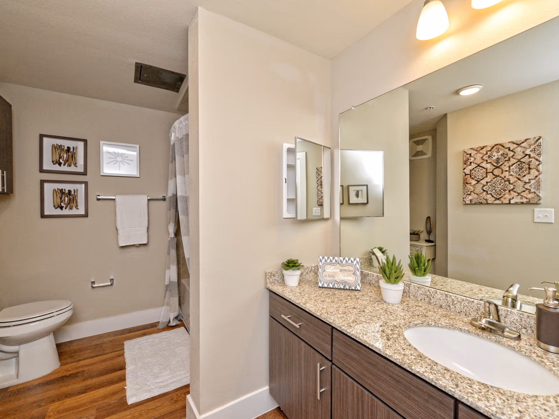 A clean and modern bathroom featuring a granite countertop with a sink, a large mirror, and small potted plants on the counter. The bathroom has wood-style flooring, a toilet, a towel rack with a white towel, framed artwork on the wall, and a shower with a striped curtain.