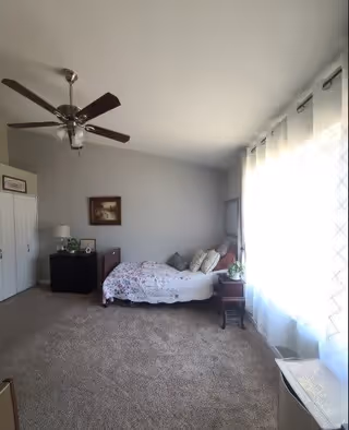 A bright bedroom with a single bed covered in floral bedding, a nightstand with a lamp and plant, a ceiling fan, a framed picture on the wall, and large windows with sheer white curtains letting in natural light.