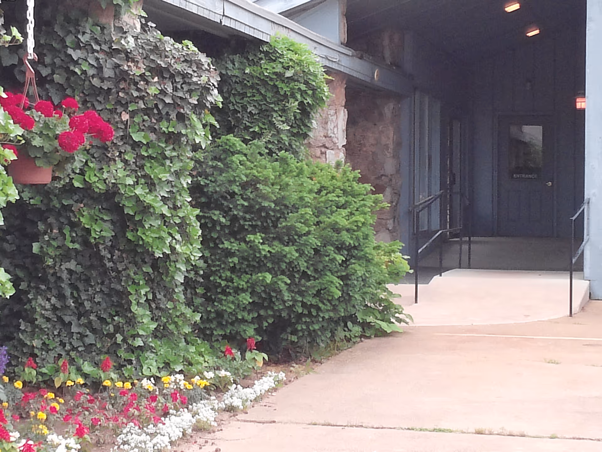 Exterior entrance with a ramped doorway, ivy-covered wall, shrubs, and a flower bed.