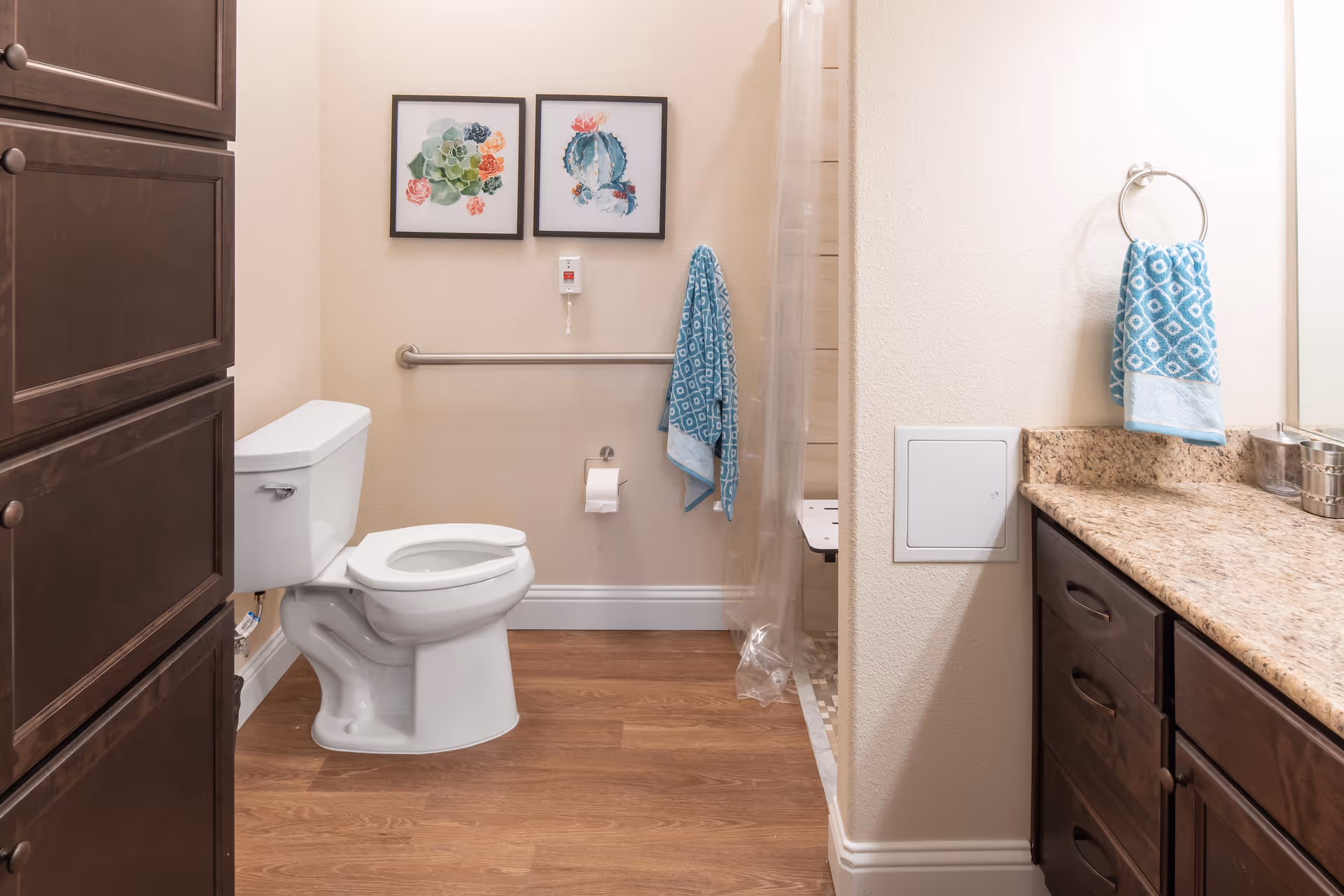 A clean and accessible bathroom featuring a white toilet, a wooden cabinet, and a granite countertop with a sink. There are two framed botanical prints on the wall above a grab bar, a blue patterned hand towel hanging on a ring, and a matching towel hanging on a hook near the shower area with a clear curtain.