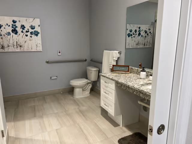 Accessible bathroom with a toilet, grab bars, granite countertop vanity with sink and large mirror, and floral wall art.