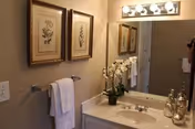 Bathroom vanity with sink, mirror and light fixture, framed botanical prints, towel on a rack and an orchid on the counter.