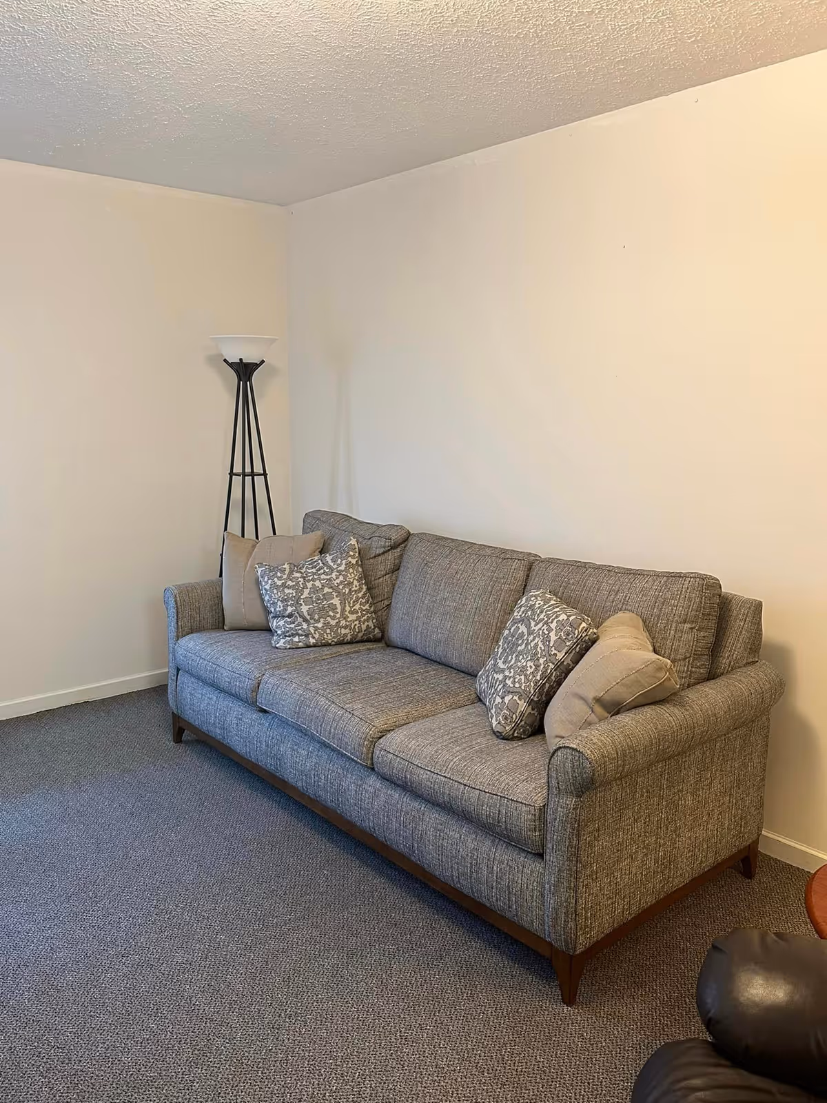 A gray upholstered sofa with four decorative pillows placed against a plain off-white wall in a room with carpeted floor. A tall black floor lamp with a white lampshade stands in the corner behind the sofa.