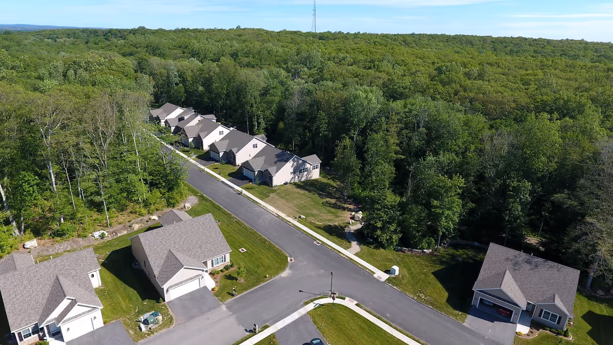 Aerial view of a small neighborhood of single-story homes along a paved street bordered by dense forest.