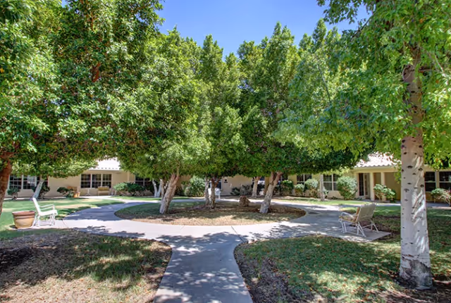 A peaceful outdoor courtyard area at a senior living facility with a circular walkway surrounding a cluster of leafy green trees. There are white benches placed along the walkway and a single-story building with multiple windows in the background.