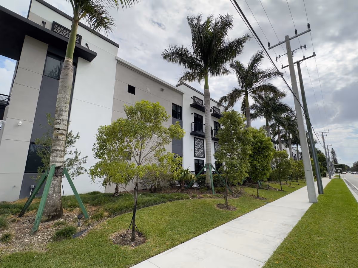 Exterior view of The Contemporary Miami building with palm trees, a sidewalk, and utility poles along the street.