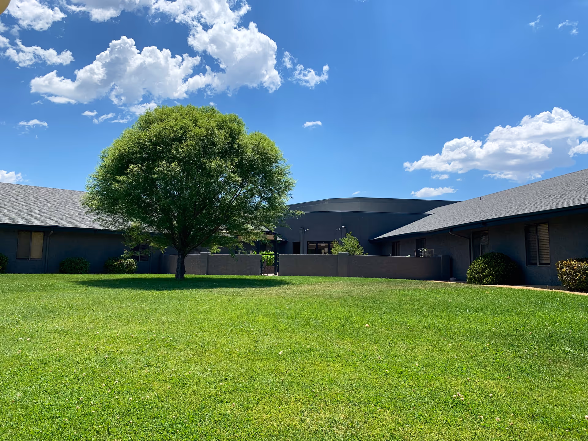 A large green lawn with a single leafy tree in the center, surrounded by a one-story building under a bright blue sky with scattered white clouds.
