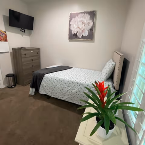 A small furnished bedroom with single bed, dresser, mounted TV, and potted plant.
