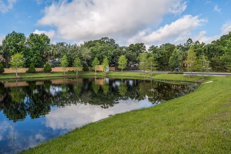 A serene outdoor scene featuring a small pond surrounded by green grass and a row of young trees. The sky is partly cloudy with blue patches visible, and the trees and clouds are reflected in the calm water of the pond.