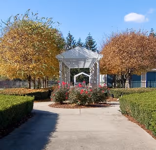 A paved garden path leading to a white pergola surrounded by trimmed hedges, rose bushes, and trees with autumn foliage.