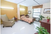 Simple senior-care bedroom with an adjustable bed, armchair, side table, dresser, plants, and a window.