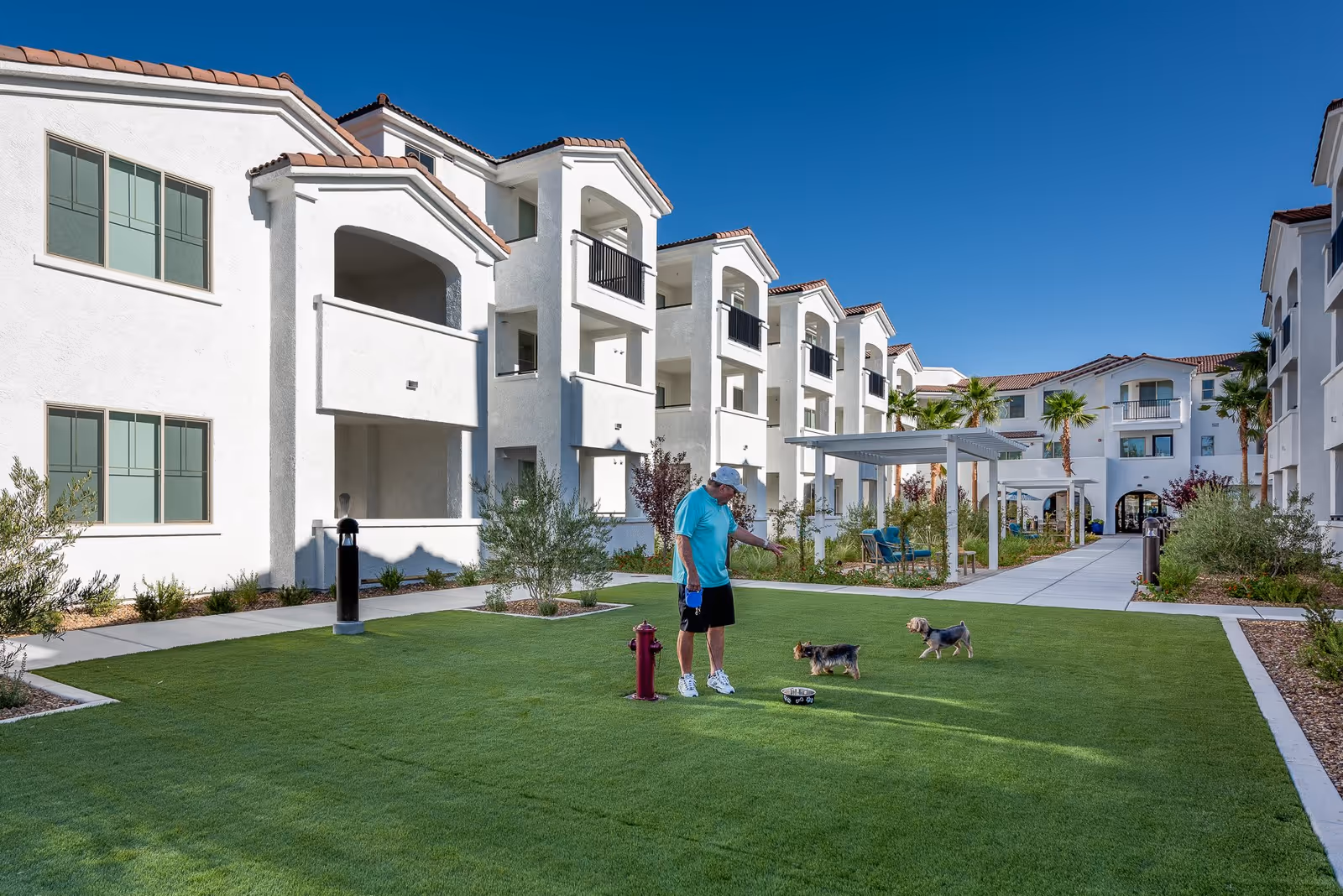 A man in a turquoise shirt and black shorts stands on a green lawn in the courtyard of a white multi-story residential building complex, interacting with two small dogs. The buildings have balconies and red-tiled roofs, with a clear blue sky above. There are walkways, plants, and a covered seating area in the courtyard.