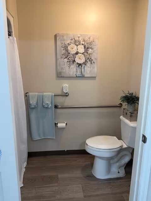 A small bathroom with a white toilet, a silver grab bar on the wall, and a toilet paper holder. Two light blue towels hang on a towel bar next to the toilet. Above the grab bar is a wall-mounted air freshener. A framed painting of white flowers in a vase is hung on the beige wall. A small potted plant and decorative box sit on the toilet tank. The floor is wood-style laminate, and a white shower curtain is partially visible on the left side.