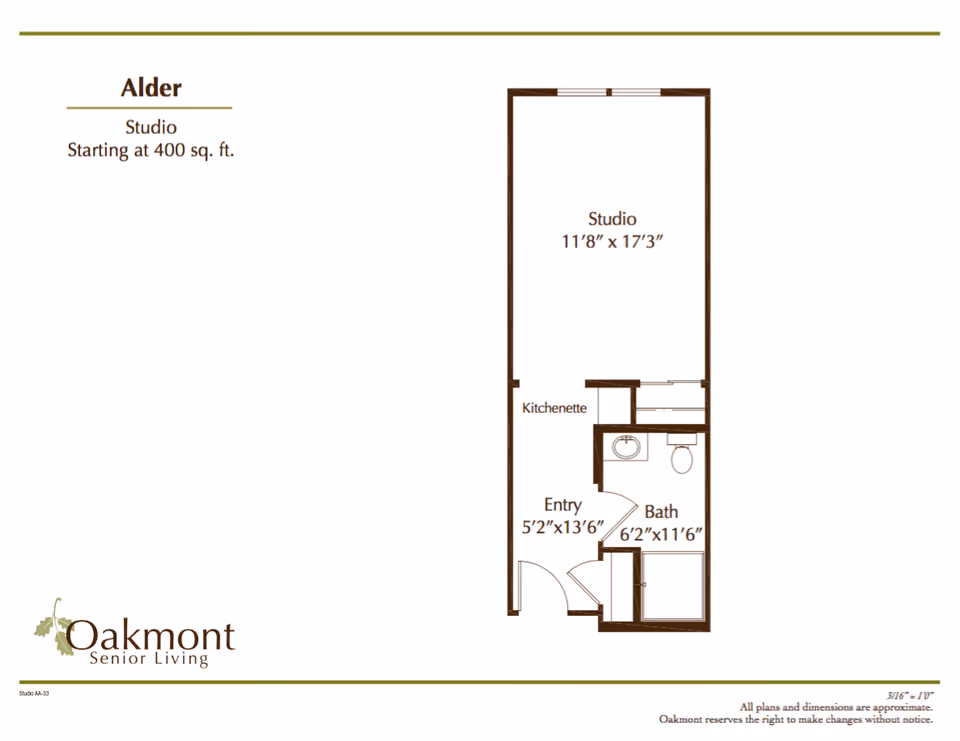 Floor plan of a studio apartment named Alder at Oakmont Senior Living, showing a studio area measuring 11'8" x 17'3", a kitchenette, an entry area measuring 5'2" x 13'6", and a bathroom measuring 6'2" x 11'6".