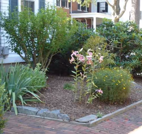 Front yard landscaping with shrubs and flowers in front of an assisted living building.