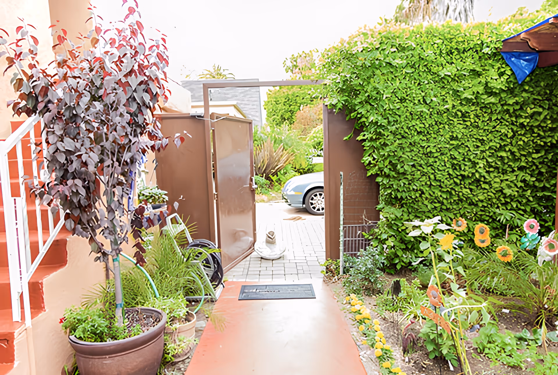 View of an outdoor garden area with a pathway leading to an open brown gate. There are potted plants and greenery on the left side, a large green hedge on the right, and colorful flower decorations in the garden bed. A silver car is visible parked outside the gate.