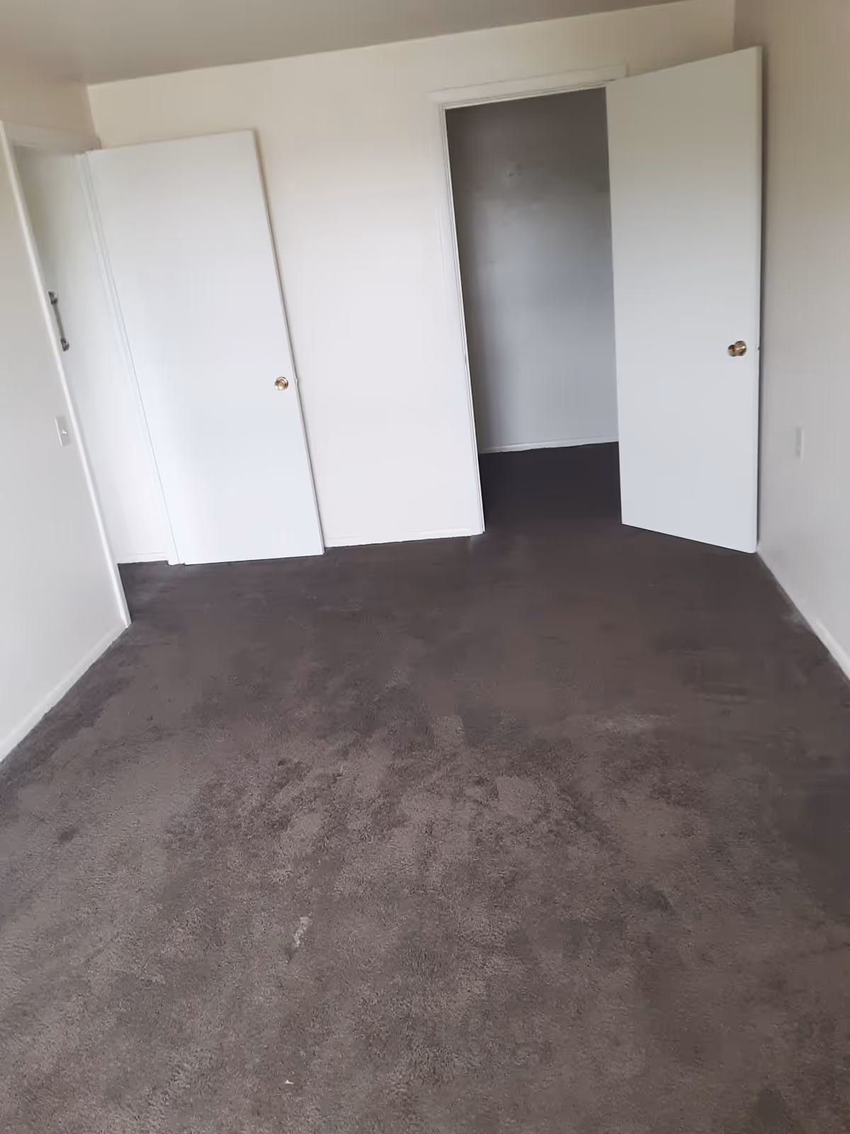 Empty room with dark carpet flooring and white walls, featuring two white doors, one slightly open leading to another room.
