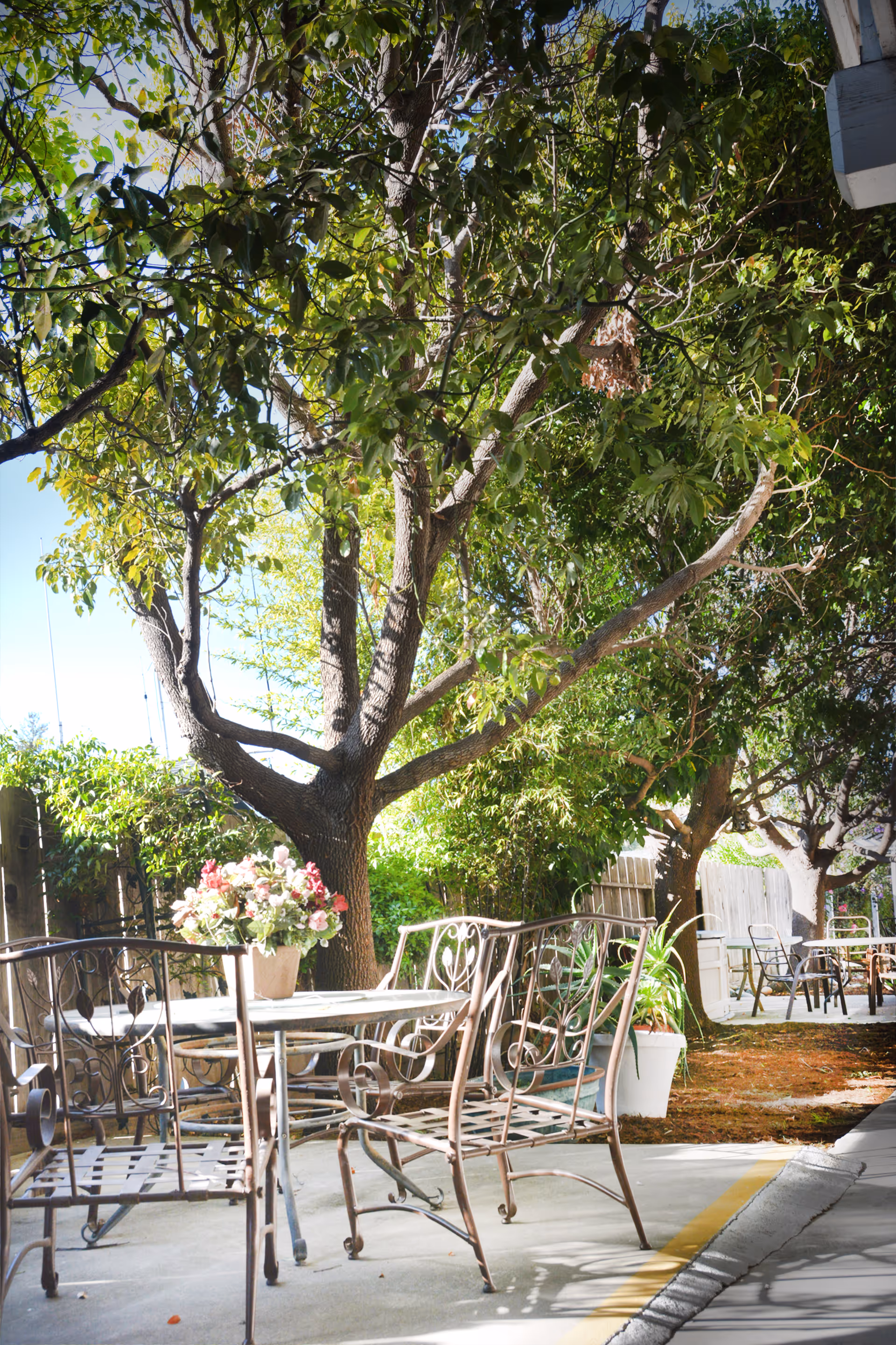 Outdoor patio area with metal chairs and tables, surrounded by trees and greenery. A flower pot with pink and white flowers is placed on one of the tables. The setting is bright and sunny, creating a peaceful garden atmosphere.