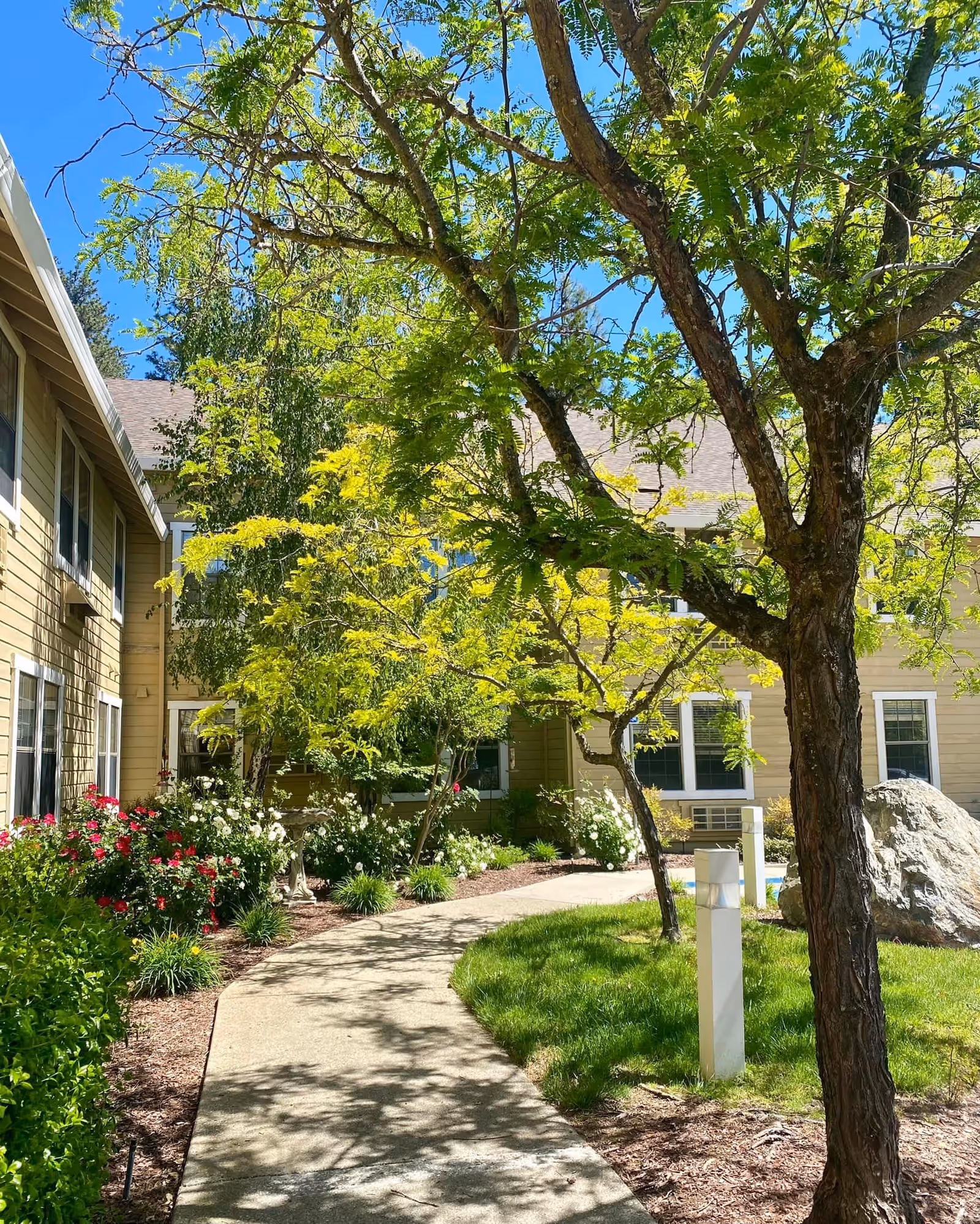 A sunny outdoor garden area at Hilltop Commons Senior Living featuring a concrete pathway winding through green grass, trees with fresh green leaves, and flower beds with red and white flowers. The beige exterior of the building with multiple windows is visible in the background under a clear blue sky.