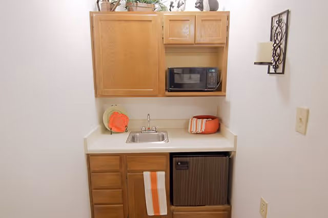 Small kitchenette area with wooden cabinets, a microwave, a small sink, a mini refrigerator, and countertop decorated with plates and a bowl. A striped towel hangs on the cabinet door, and a wall-mounted light fixture is visible on the right side.