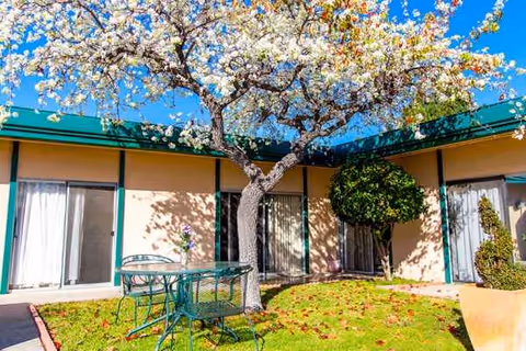 A sunny courtyard with a tree, metal table, chairs, and entry doors to rooms.