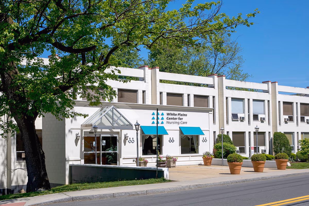 Exterior view of White Plains Center for Nursing Care building with white walls, large windows with brown blinds, blue awnings, and potted plants along the sidewalk. A large tree is visible on the left side under a clear blue sky.