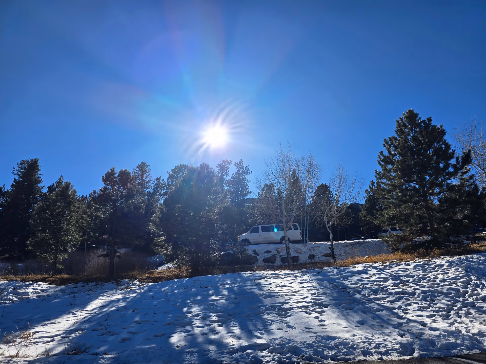 Snow-covered ground with shadows of trees under a bright sun in a clear blue sky. Evergreen trees and leafless trees are visible, along with a white van parked on a slight hill.