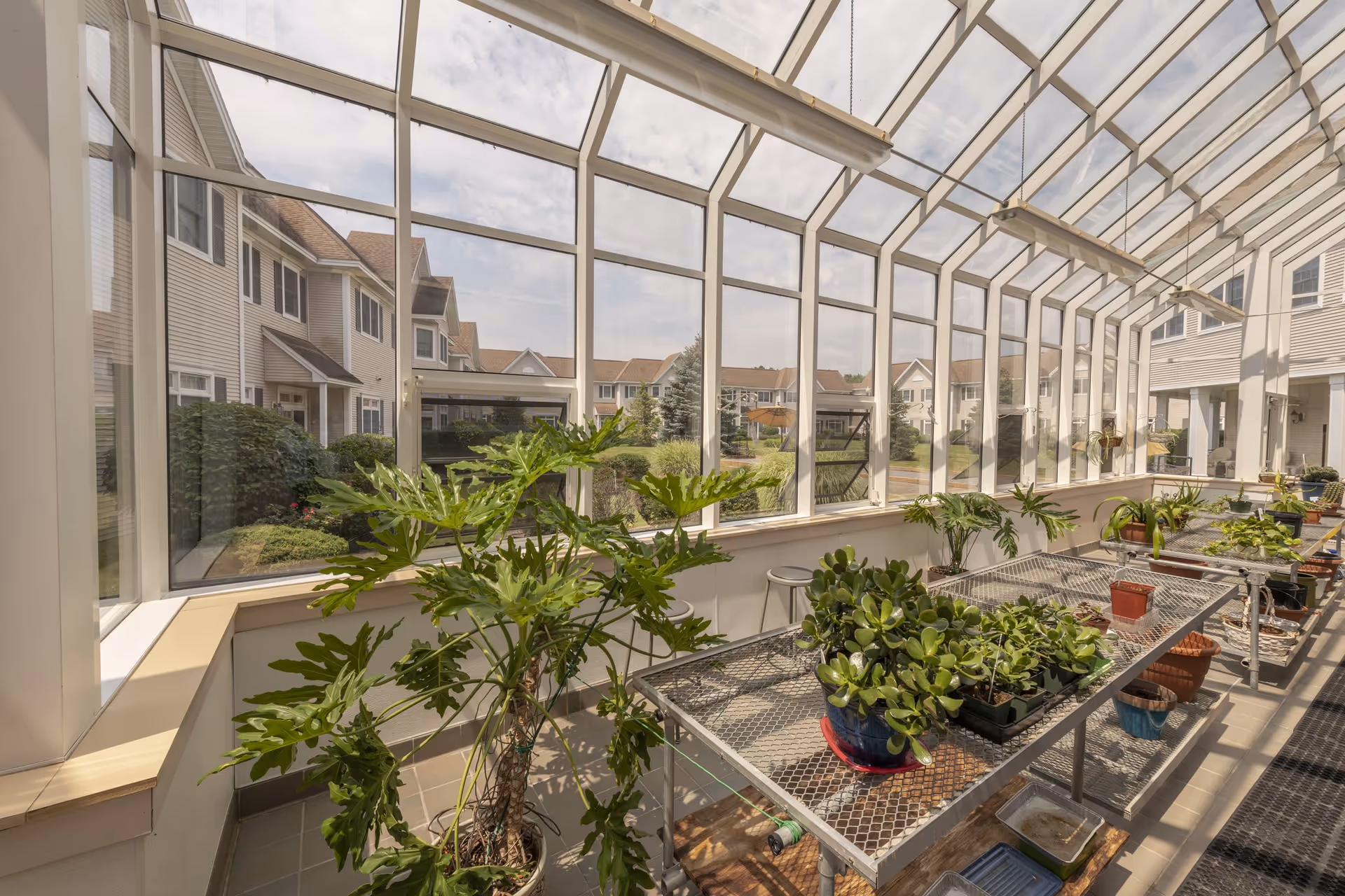 Sunlit glass-enclosed sunroom with metal planting benches holding potted plants and views of the courtyard and surrounding townhouses.