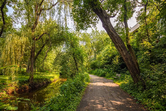 A peaceful outdoor pathway surrounded by lush green trees and vegetation with a small stream running alongside it. Sunlight filters through the leaves, creating a serene natural setting.